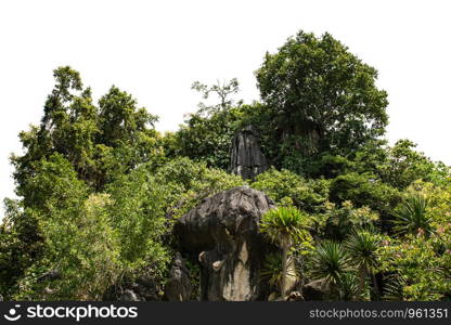 rock mountain hill with green forest isolate on white background