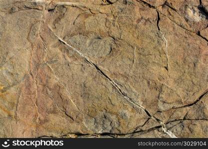 Rock or Stone surface as background texture . Natural rock or Stone surface as background texture