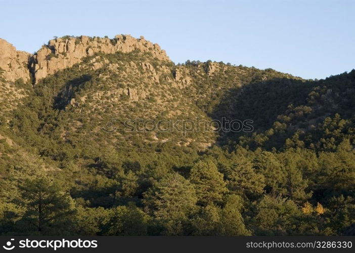 Rock outcrop and fall trees