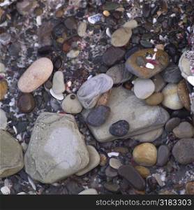 Rock pebbles in the water
