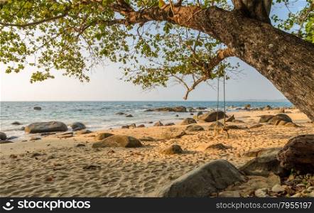 Rock shore beach with wooden swing hanging on big tree at Khao Lak in Phang nga province, Thailand