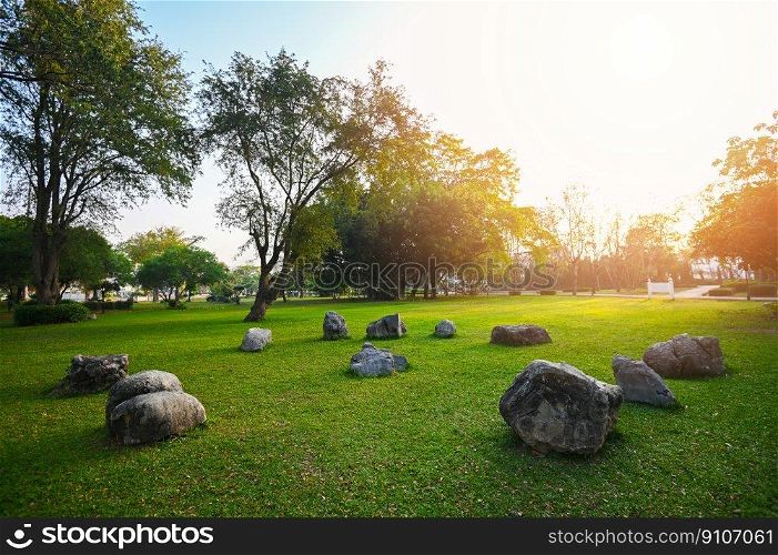 Rock stone grass on the field sunrise or sunset landscape in the summer time , Natural green grass field in sunrise in the park with tree sunshine on the grass green environment public park natural