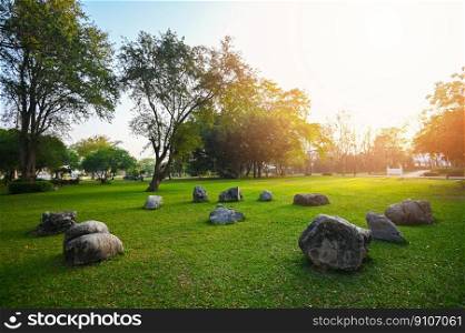 Rock stone grass on the field sunrise or sunset landscape in the summer time , Natural green grass field in sunrise in the park with tree sunshine on the grass green environment public park natural