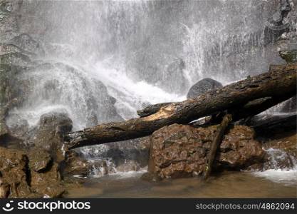 Rock, waterfall and tree in Grenada