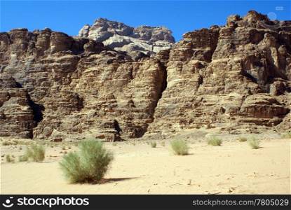 Rocks, and and bush in Wadi Rum desert, Jordan