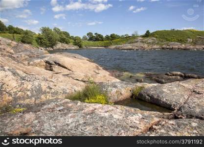 rocks and flowers in the summer on the fortification island Suomenlinna off the coast near helsinki