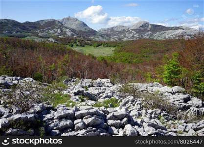 Rocks and mountain in Lovcen national park in Montenegro