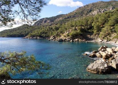Rocks and pine trees on the sea coast, Turkey