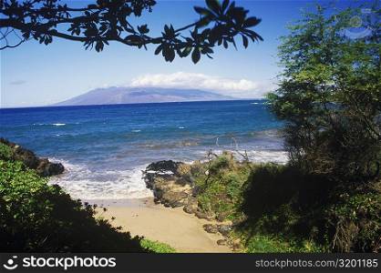 Rocks and trees on the beach, Hawaii, USA
