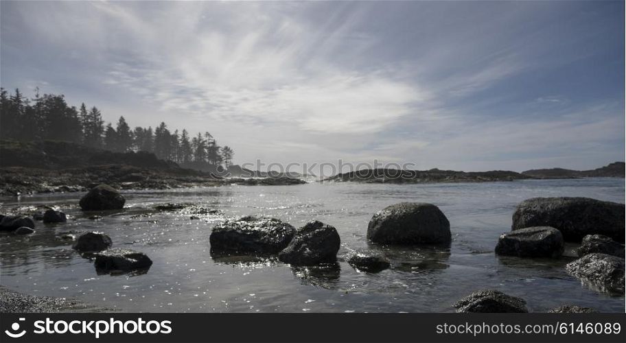 Rocks at coastline, Pacific Rim National Park Reserve, Tofino, Vancouver Island, British Columbia, Canada