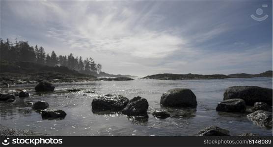 Rocks at coastline, Pacific Rim National Park Reserve, Tofino, Vancouver Island, British Columbia, Canada