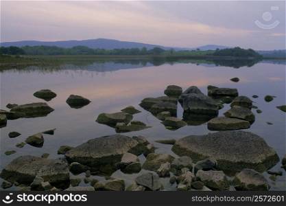 Rocks in a lake, Ross Lake, County Galway, Republic of Ireland