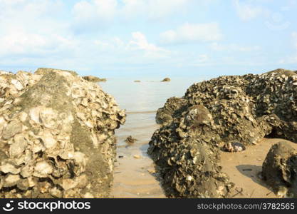 Rocks in the sea