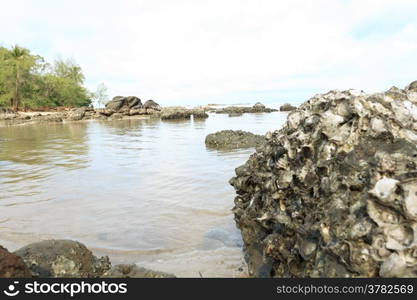 Rocks in the sea