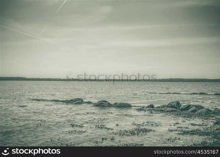 Rocks in the sea by the shore in daylight