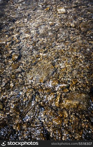Rocks in water. Clean clear water flowing over smooth brown rocks