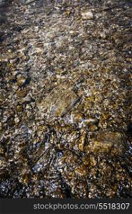 Rocks in water. Clean clear water flowing over smooth brown rocks