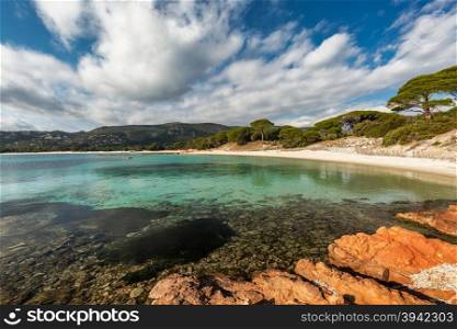 Rocks justting out into a calm, crystal clear, mediterranean sea at Palombaggia beach in Corsica
