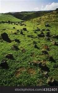Rocks on a landscape, Hawaii, USA