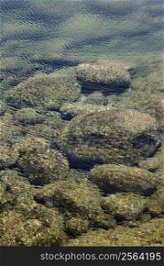 Rocks on ocean bottom seen through clear, rippled water in Maui, Hawaii, USA.