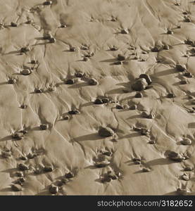 Rocks on the beach in Costa Rica