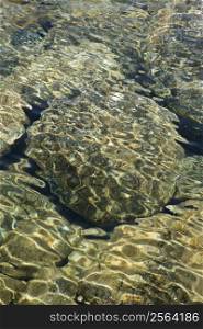 Rocks seen through clear, rippled water with dappled sunlight in Maui, Hawaii.
