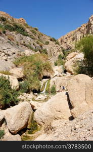 Rocks, streams and waterfalls, water and life in the arid desert - Ein Gedi nature reserve off the coast of the Dead Sea.