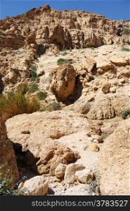 Rocks, streams and waterfalls, water and life in the arid desert - Ein Gedi nature reserve off the coast of the Dead Sea.