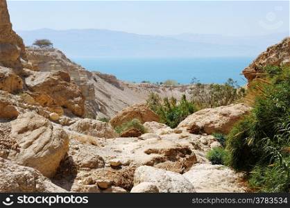 Rocks, streams and waterfalls, water and life in the arid desert - Ein Gedi nature reserve off the coast of the Dead Sea.
