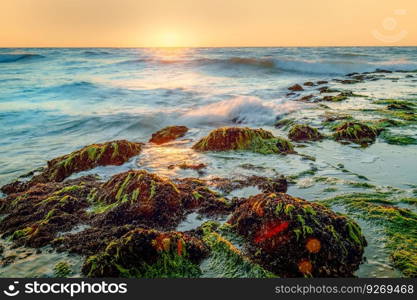 Rocks with green seaweed in the light of the setting sun and mystical waves . Long expusure photography on the dutch coast, Zeeland, Netherlands. Seaweed rocks seascape sunrise sunset water and wave.