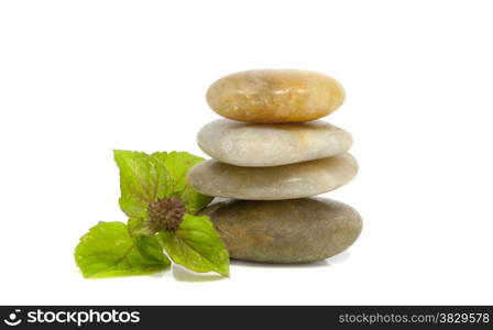 rocks with leaves from the menthol plant