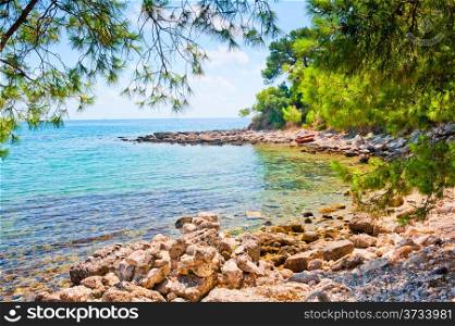 rocky beach and a picturesque pine forest