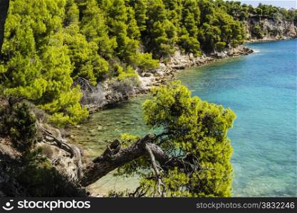 Rocky beach of alonissos at Sporades, Greece