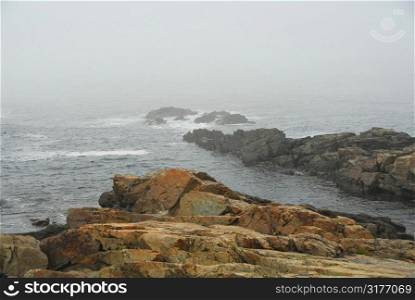 Rocky coast of Atlantic ocean in Maine, USA