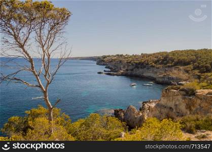 Rocky coast on Majorca Spain Mediterranean Sea. rocky coastline on Mallorca near Cala Vinyes, Balearic Islands