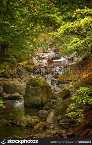 Rocky creek in the forest. River with rocks. densely overgrown forest with flowing stream nature background.