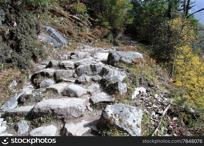 Rocky footpath in the forest in mountain, Nepal