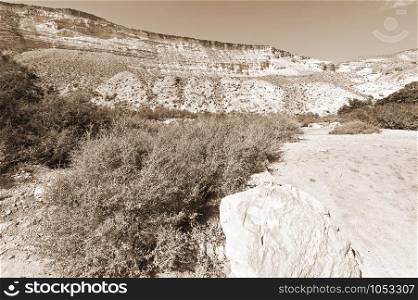 Rocky hills of the Negev Desert in Israel. Breathtaking landscape of the desert rock formations in the Southern Israel Desert. Vintage Style Sepia photo