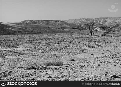 Rocky hills of the Negev Desert in Israel. Breathtaking landscape of the rock formations in the Southern Israel. Dusty mountains interrupted by wadis and deep craters. Black and white photography