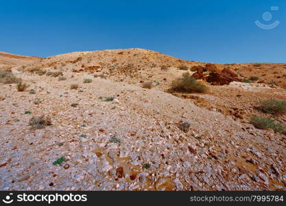 Rocky Hills of the Negev Desert in Israel