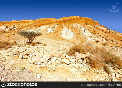 Rocky Hills of the Negev Desert in Israel