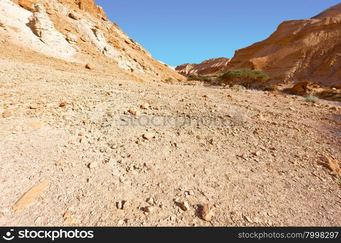 Rocky Hills of the Negev Desert in Israel