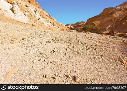 Rocky Hills of the Negev Desert in Israel