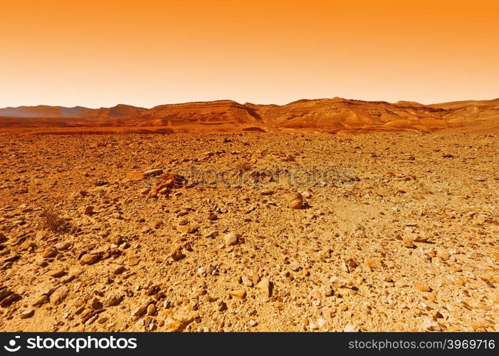 Rocky Hills of the Negev Desert in Israel at Sunset