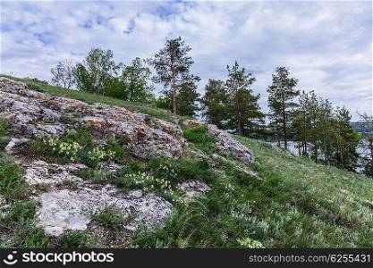 rocky ledges in the Zhiguli Mountains