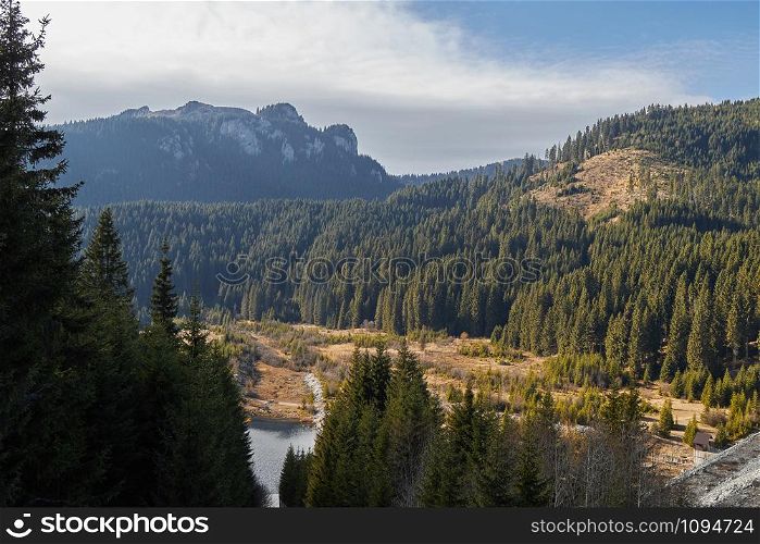 Rocky mountain and fir forest