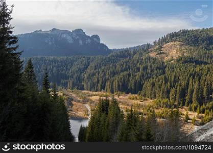 Rocky mountain and fir forest