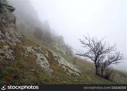 Rocky mountain misty view (Demerdzhi Mount, Crimea, Ukraine)