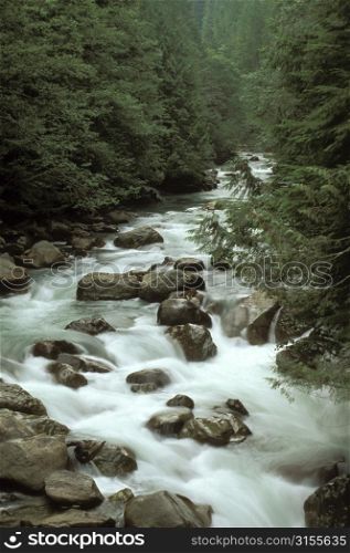 Rocky Mountain Stream