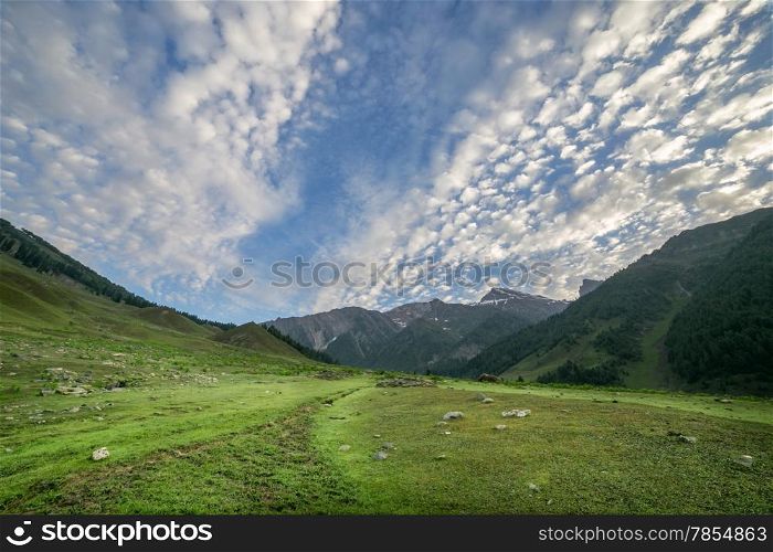Rocky Mountains and green Field in Jammu and Kashmir
